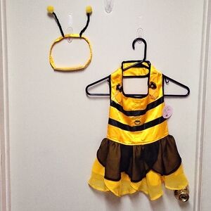 Mia Michele Couture by Doggie Design Satin 2 Piece Bumblebee Costume XL